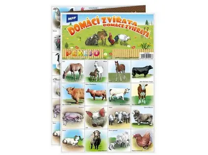 Pexeso MFP Domácí zvířata
