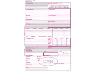 CMR 1+4 anglický jazyk