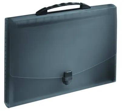 Aktovka s držadlem Esselte VIVIDA černá