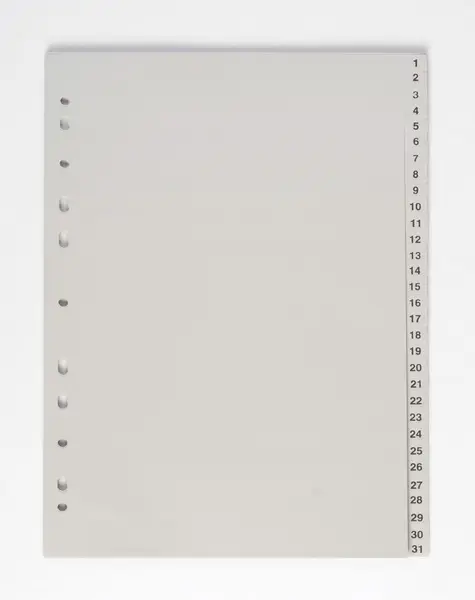 Rejstřík PP šedý A4 1-31