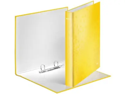Pořadač 2 kroužkový D25 A4+ Leitz Active Wow žlutý
