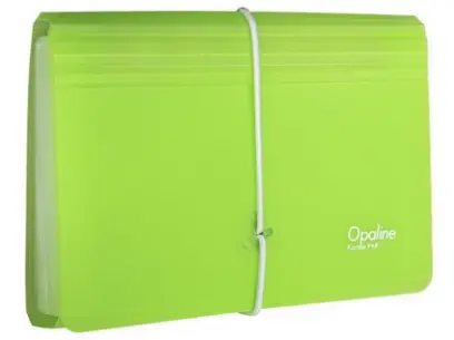 Organizér na dokumenty DL 13 kapes zelený