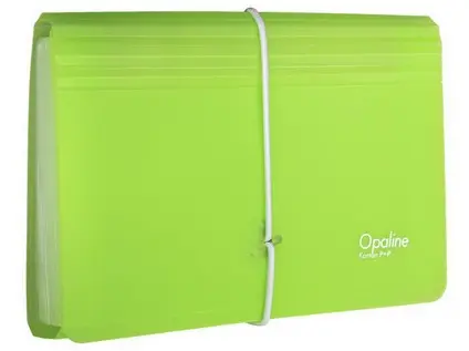 Organizér na dokumenty DL 13 kapes zelený