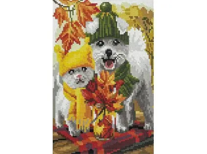 Mozaika diamantová A 17 pes a kočka