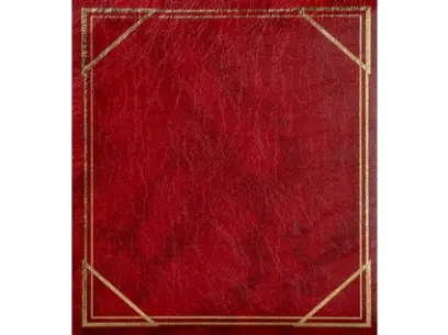 Fotoalbum B-6850S Vinyl 1 vínové