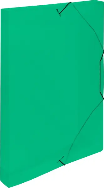 Box s gumou průhledný zelený