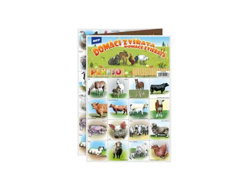 Pexeso MFP Domácí zvířata
