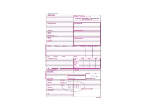 CMR 1+4 anglický jazyk