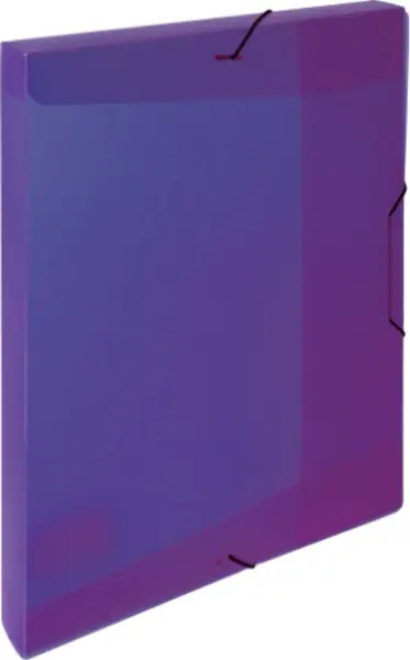 Box s gumou Opaline fialový