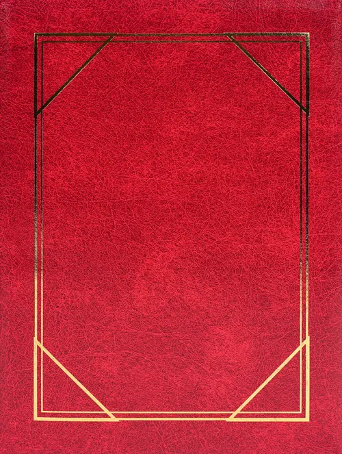 Fotoalbum DRS-20 Vinyl 1 vínové