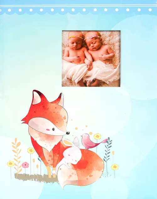 Fotoalbum DRS-30B Fox 1