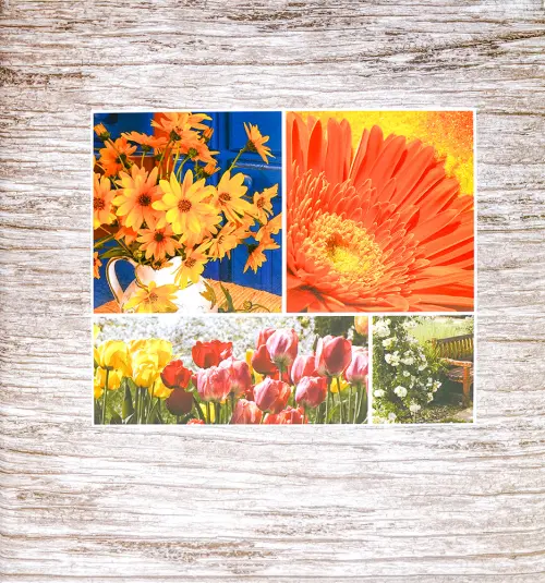 Fotoalbum DRS-50 Incolor 1