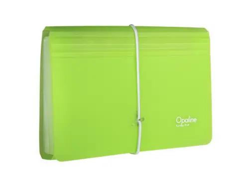 Organizér na dokumenty DL 13 kapes zelený