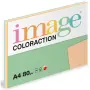 19894288515188_BAREVNY-PAPIR-IMAGE-COLORACTION-MIX-A4-5-ODSTINU-PASTELOVA-986
