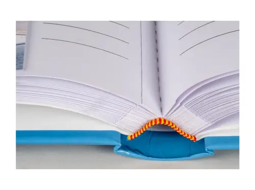 10329396346881_0_230007_1_M_E