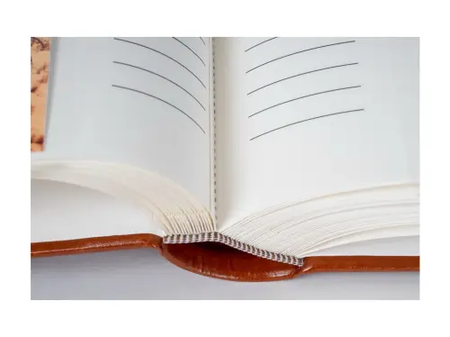 10329396346881_0_230910_M_F