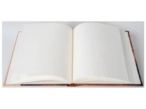 10329396346881_0_231267_2_M_D