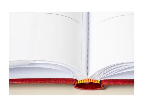 10329396346881_0_231703_1_M_E