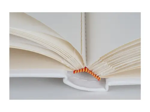 10329396346881_0_232300_M_E