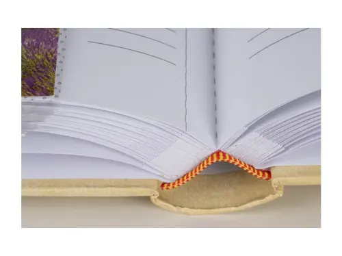 10329396346881_0_234532_5_M_E