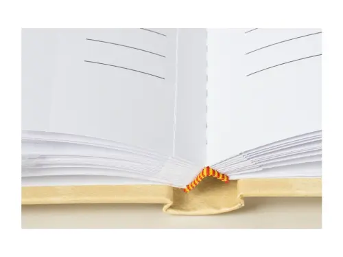 10329396346881_0_235710_3_M_E