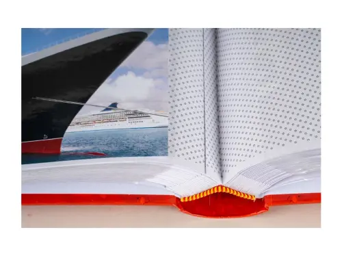 10329396346881_0_236105_1_M_E