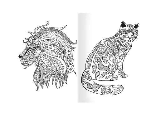 10329396346881_221322_M_A