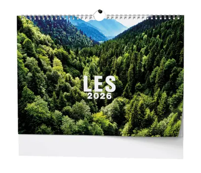 Kalendář nástěnný Les