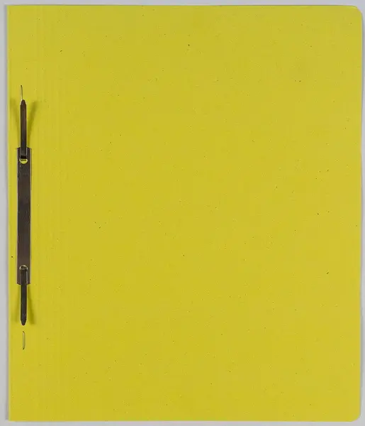 Rychlovazač obyčejný H žlutý