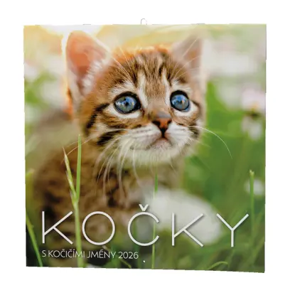 Kalendář nástěnný Kočky