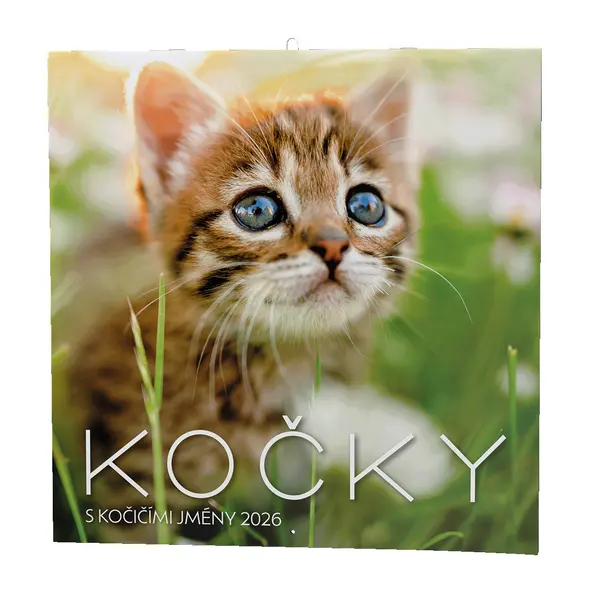Kalendář nástěnný Kočky