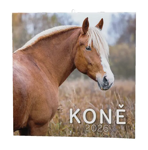 Kalendář nástěnný Koně