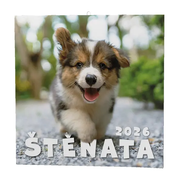 Kalendář nástěnný Štěňata
