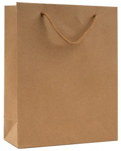 Taška papírová Craft velká 1 Eco