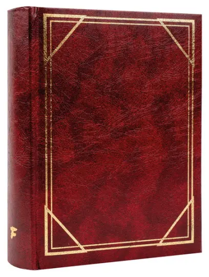 Fotoalbum B-35200S Vinyl 1 vínové