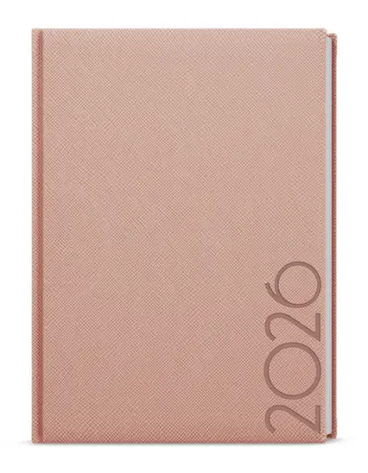 Diář denní - David - Tora - A5 - pudrová