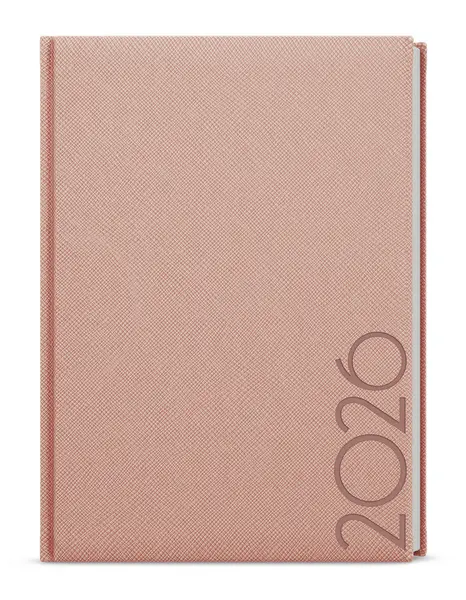 Diář denní - David - Tora - A5 - pudrová