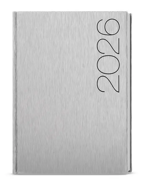 Diář denní - David - ForMen - A5 - Silver