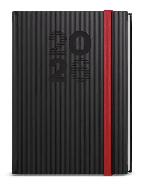 Diář denní - David - Vigo - A5 - černá