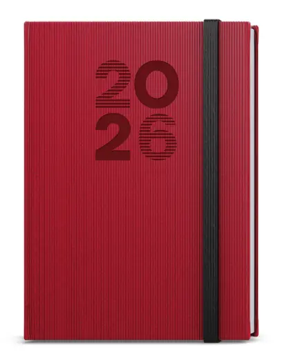 Diář denní - David - Vigo - A5 - červená
