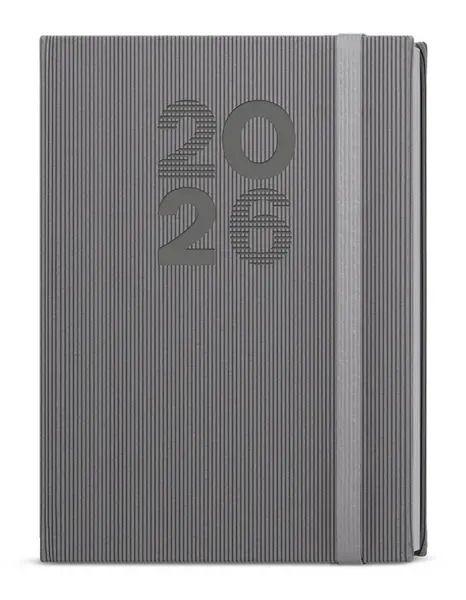 Diář denní - David - Vigo - A5 - šedá