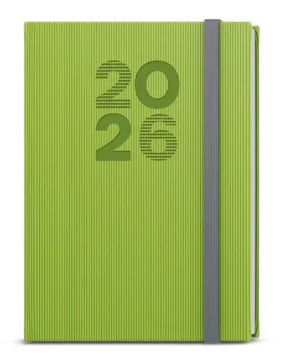 Diář denní - David - Vigo - A5 - zelená