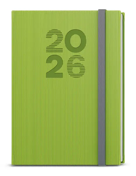 Diář denní - David - Vigo - A5 - zelená