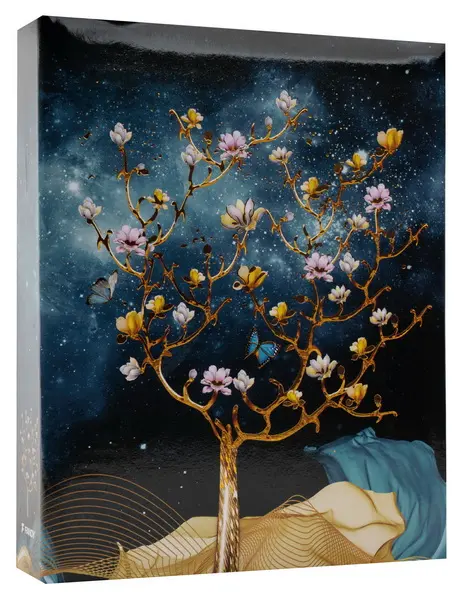 Fotoalbum MM-46200 Goldie 2