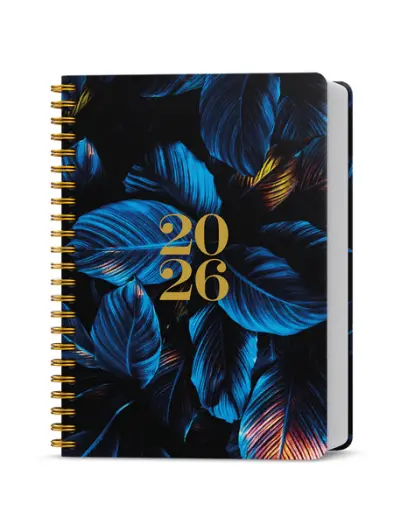 Diář denní - David - Twin - A5 - Modré listy