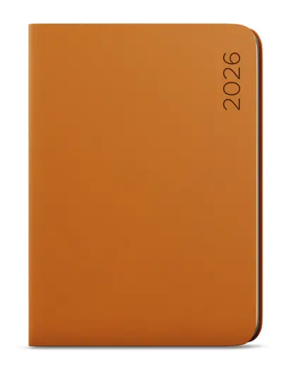 Diář denní - David - Nuba - A5 - písková