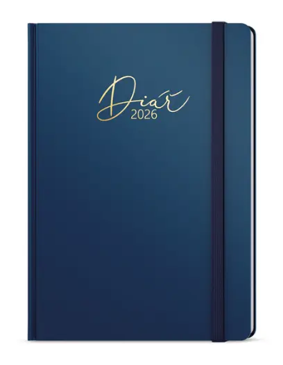 Diář denní - David - Luxi - A5 - modrá