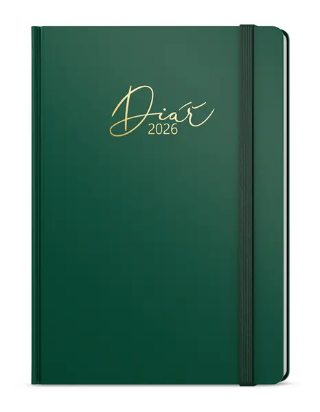 Diář denní - David - Luxi - A5 - zelená