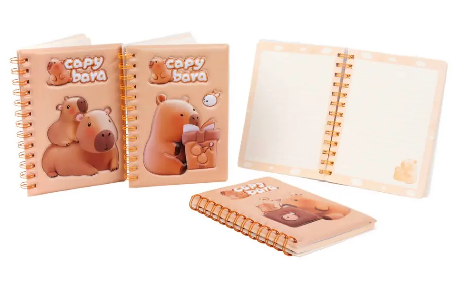 Zápisník B6 Capybara mix