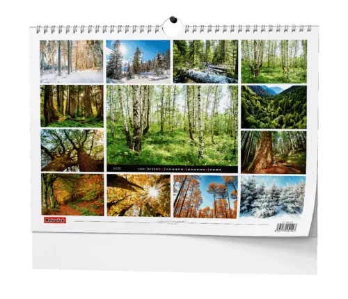 Kalendář nástěnný Les